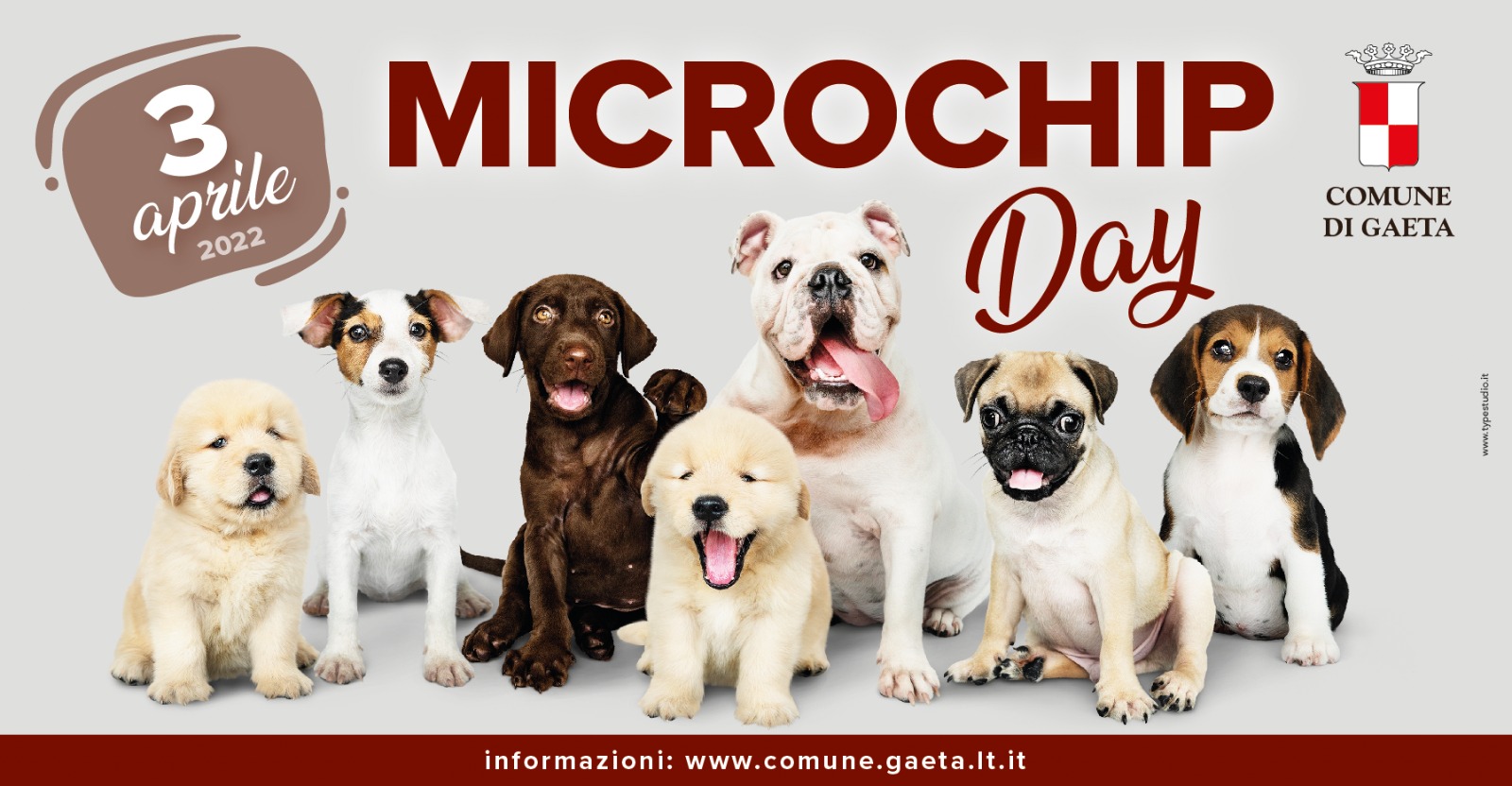 Microchippatura gratuita 1