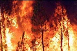 Al via la campagna antincendi boschivi Al via la campagna antincendi boschivi