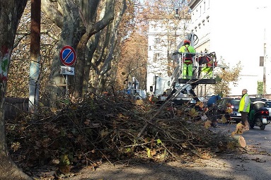 Bonifica ambientale: al via un'intensa settimana di interventi