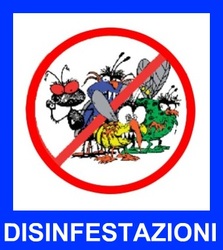 Disinfestazione e disinfezione: al via gli interventi