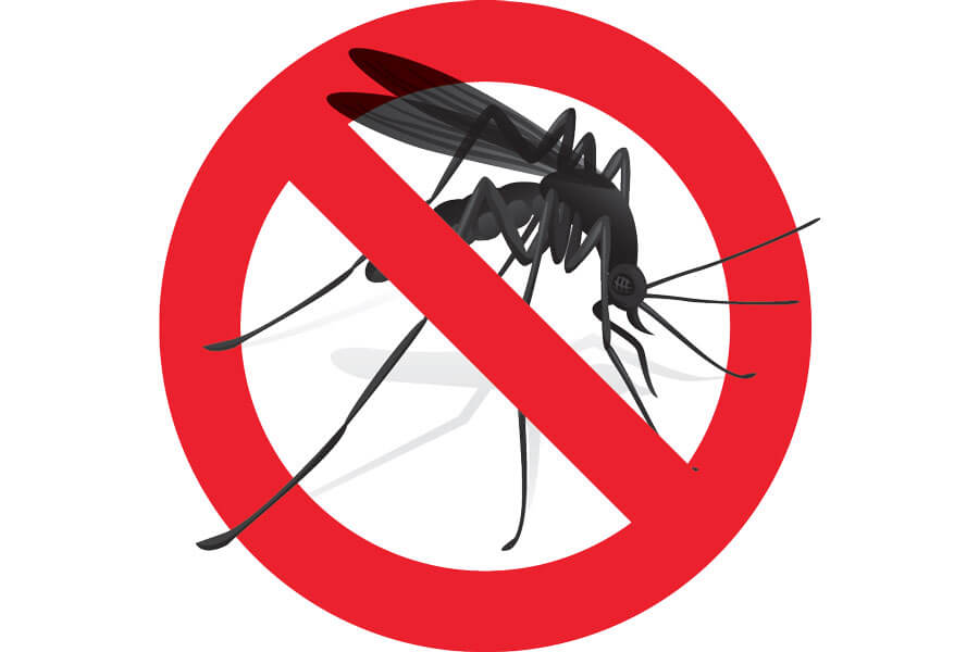Lunedì 19 giugno intervento adulticida contro le infestazioni di zanzare