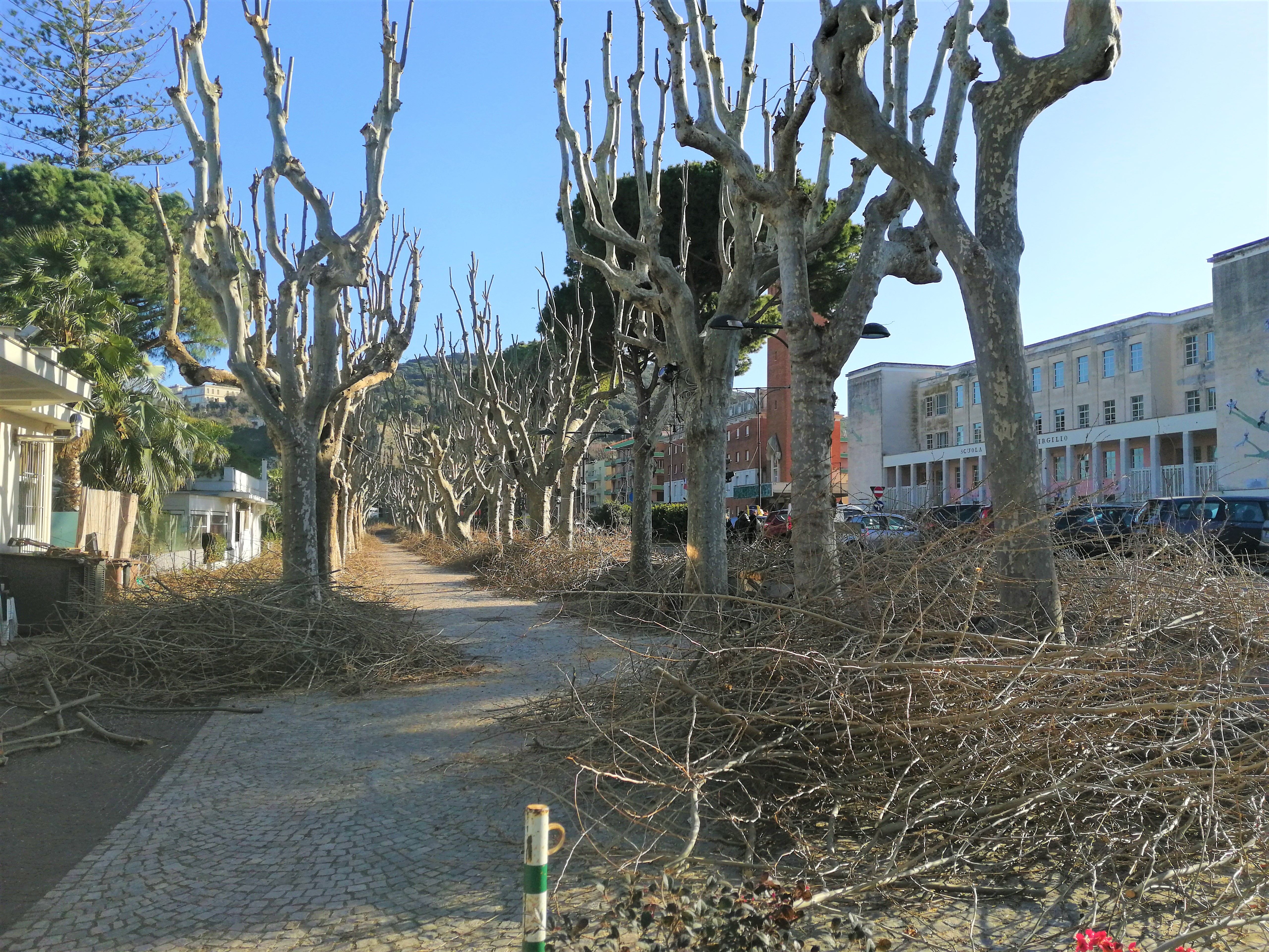 Manutenzione del verde, proseguono gli interventi in città