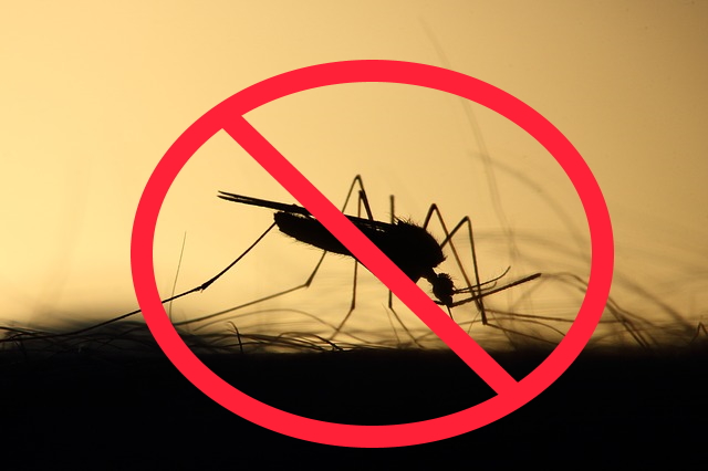 Oggi mercoledì 14 maggio (a partire dalle ore 23:00) disinfestazione adulticida, volta ad eliminare insetti.Le raccomandazioni. Oggi mercoledì 14 maggio (a partire dalle ore 23:00) disinfestazione adulticida, volta ad eliminare insetti.Le raccomandazioni.