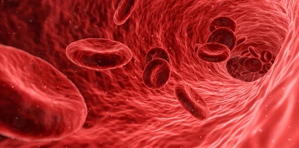 Test sierologici gratuiti, estesa la fascia ISEE Test sierologici gratuiti, estesa la fascia ISEE